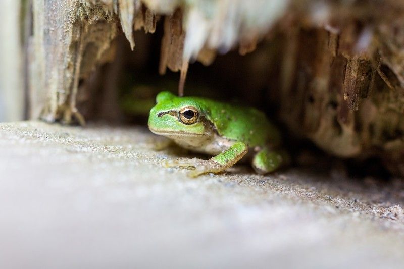 Featured image of the post